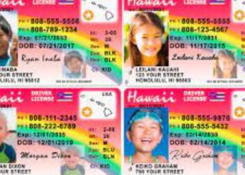The Risks And Consequences Of Using Fake ID Websites