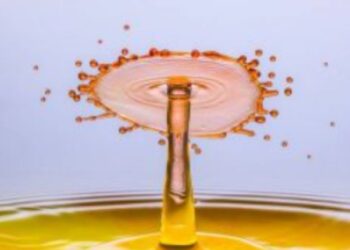 The Power Of Badi Soch: Transforming Minds, Shaping Futures