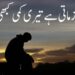 2 Line Urdu Poetry