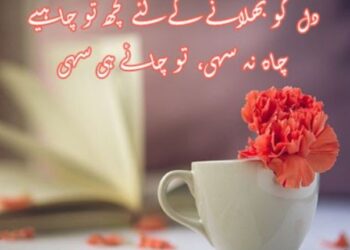 Telenor WhatsApp Packages