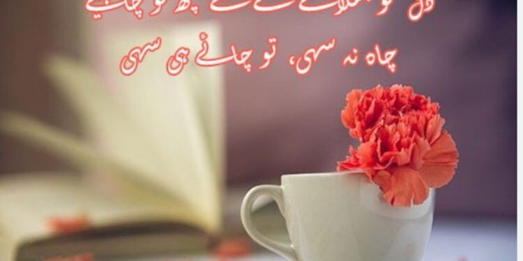 Telenor WhatsApp Packages