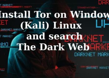 Exploring the Hidden Wiki