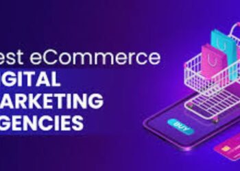 Enhancing Your Online Business with Digital Marketing, Web Design, and E-commerce