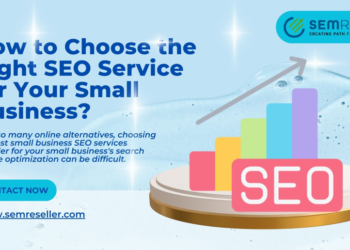 How to Choose the Right SEO Service for Your Small Business?